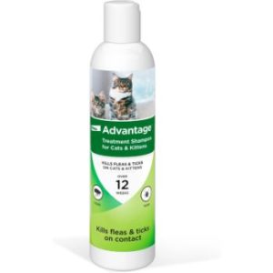 Picture of 10 Best Flea Shampoos for Cats – Safe, Effective & Vet-Approved (2025 ...